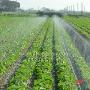 Cấu tạo của hệ thống tưới phun mưa tự động.