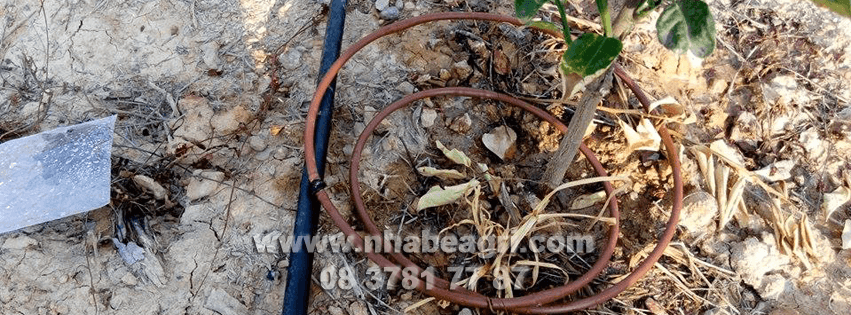 Dây tưới nhỏ giọt Nhà Bè Agri