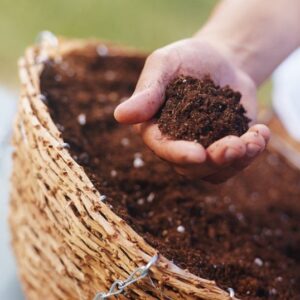 Kỹ thuật bón phân và hòa tan phân bón cho hệ thống tưới nhỏ giọt